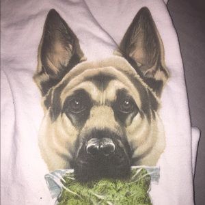 Good dog t-shirt who’s a good boy 🐕🤗